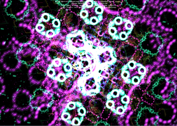 Trang web thú vị.