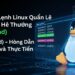 Những Lệnh Linux Quản Lý Dịch Vụ Hệ Thống (systemd) – Hướng Dẫn Chi Tiết và Thực Tiễn