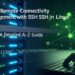 Nắm Vững Nghệ Thuật Kết Nối và Quản Lý Từ Xa Với SSH Trong Linux: Hướng Dẫn Chi Tiết Từ A-Z
